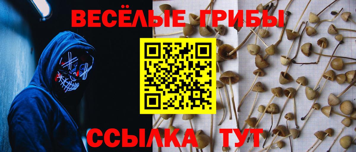 Псилоцибиновые грибы MAGIC MUSHROOMS  Вход с VPN  Галлюциногенные грибы GOLDEN TEACHER  Канаш 